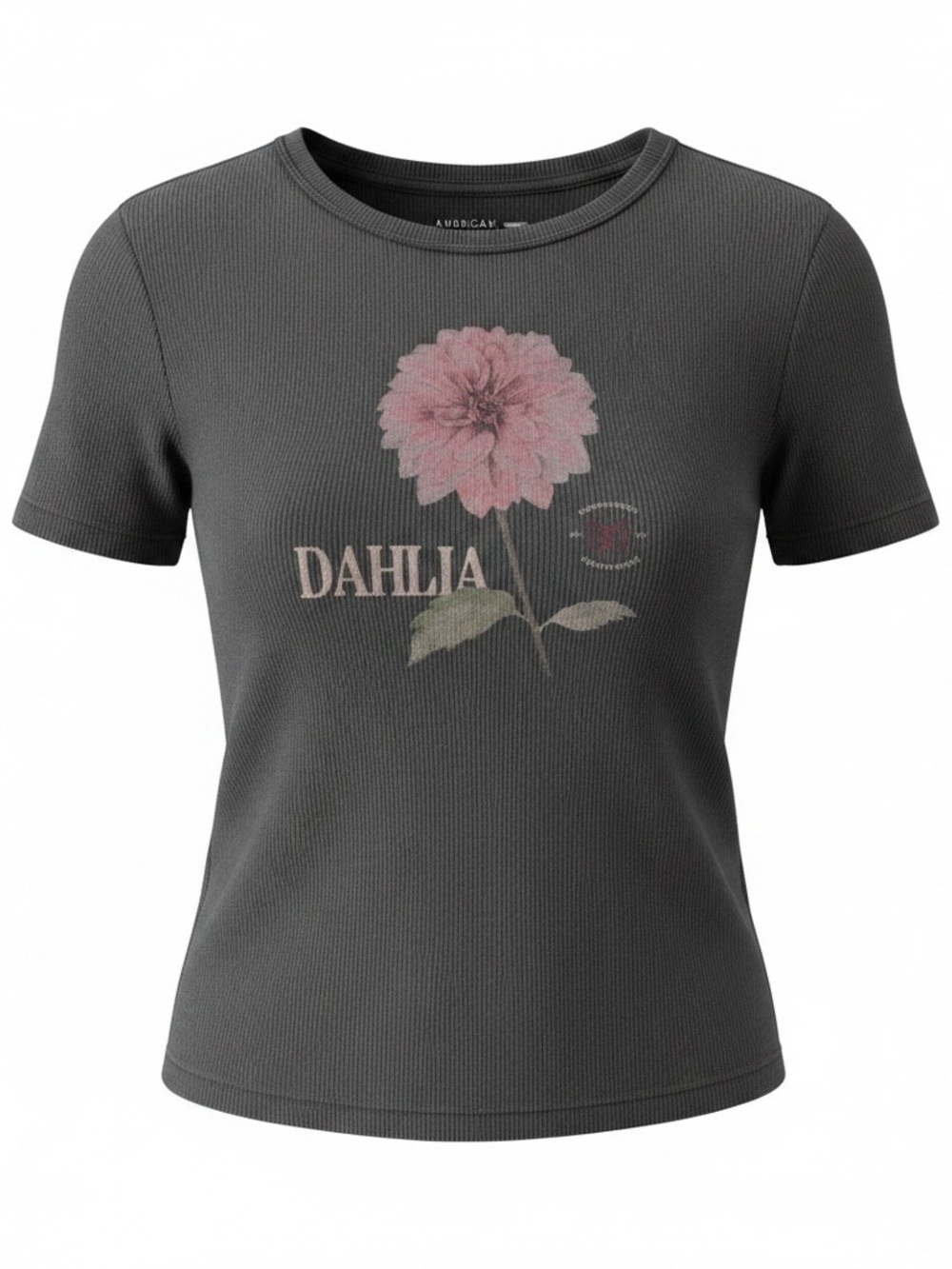 American Eagle Outfitters Baby Tee Graphic
